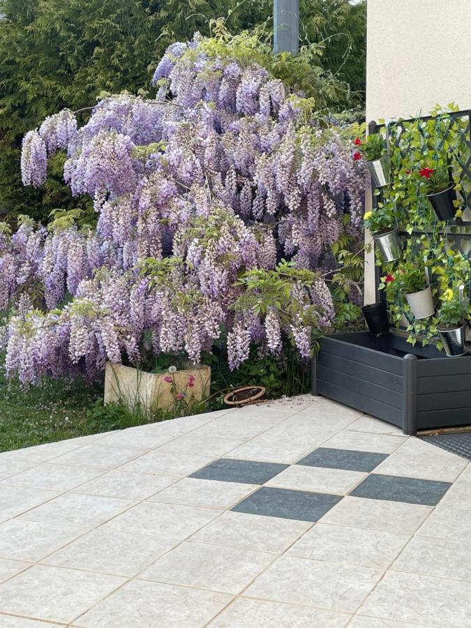 Apartment Studio Beauregard - Terrasse Et Jardin